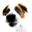 chuckwagon's Avatar